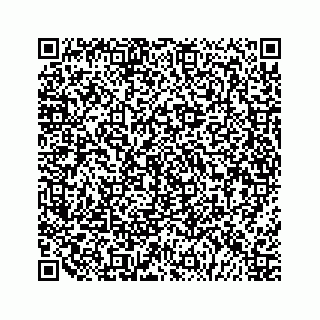 vCard 79120760294