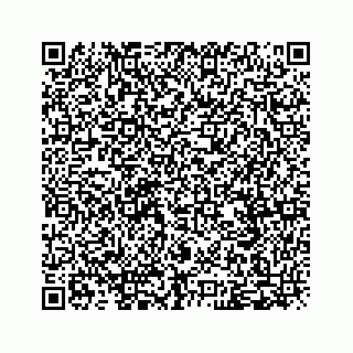 vCard 79120760295