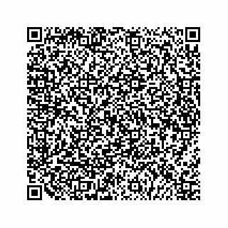 vCard 79120760317
