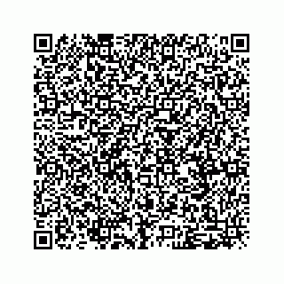 vCard 79120800003