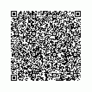 vCard 79120800131