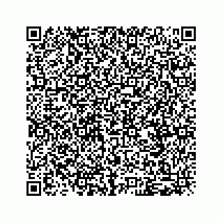 vCard 79120800133