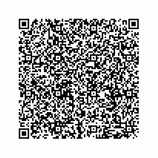 vCard 79120800138