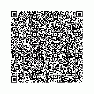 vCard 79120800176