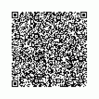 vCard 79120800241