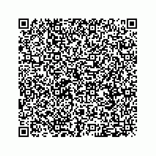 vCard 79120800253
