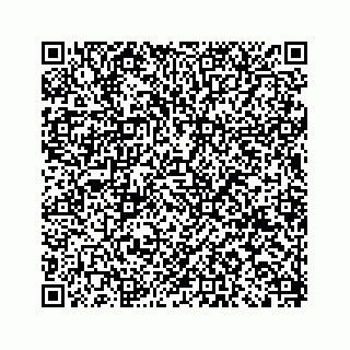 vCard 79120800294