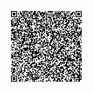 vCard 79120800295