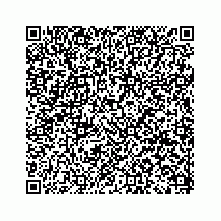 vCard 79120800355
