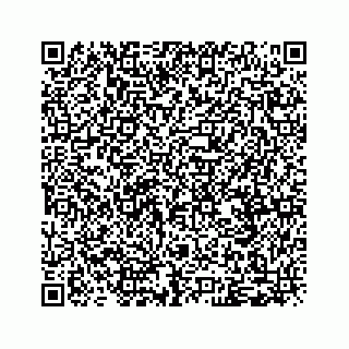 vCard 79120800511