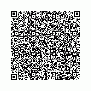 vCard 79120800523