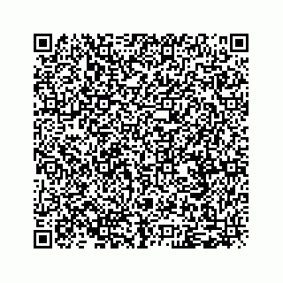 vCard 79120800541