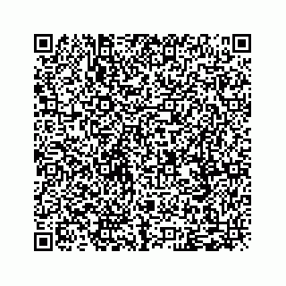 vCard 79120800704
