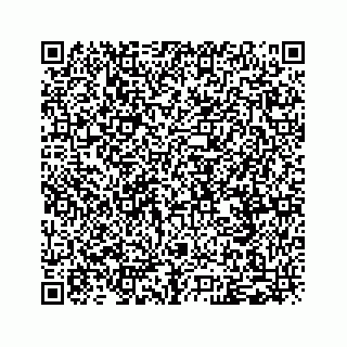 vCard 79120801313