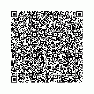 vCard 79120801329