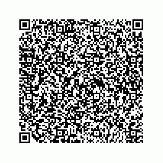 vCard 79120930013