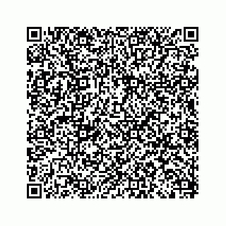 vCard 79120930032