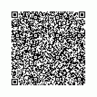 vCard 79120930037
