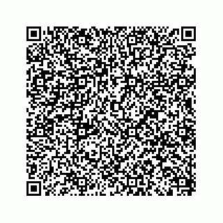 vCard 79120930038