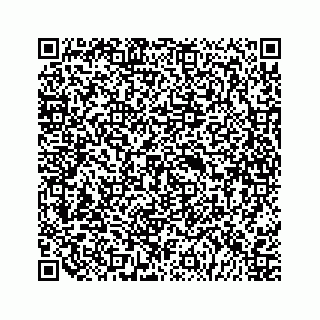vCard 79120930041