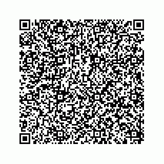 vCard 79120930063