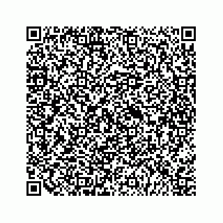 vCard 79120930110