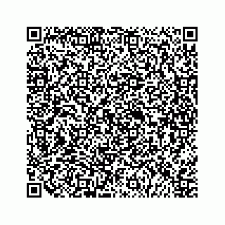 vCard 79120930209