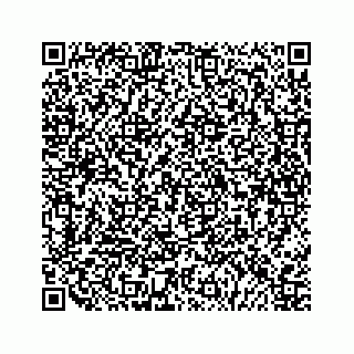 vCard 79120930381