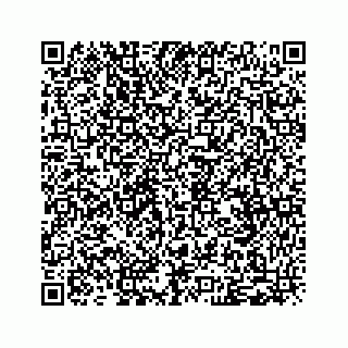 vCard 79120930399