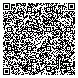vCard 79121000380