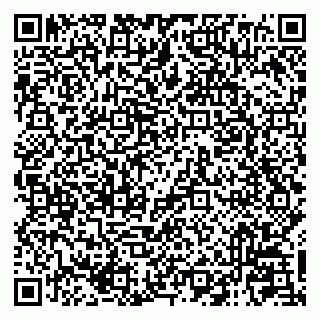 vCard 79121004021