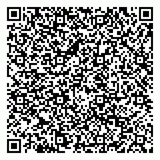 vCard 79124200331