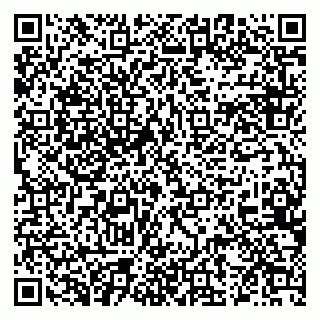 vCard 79124200399