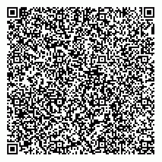 vCard 79129393388