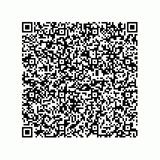vCard 79130000201