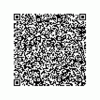vCard 79130000203