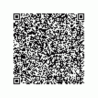 vCard 79130000217