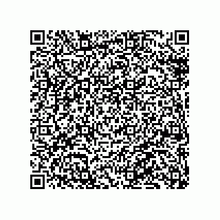 vCard 79130000251