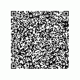 vCard 79130000311