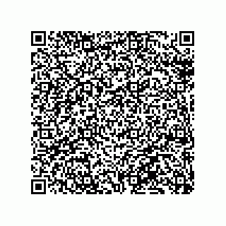 vCard 79130000400