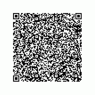 vCard 79130000402
