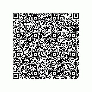 vCard 79130000405