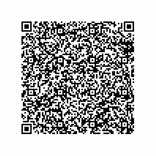 vCard 79130000419