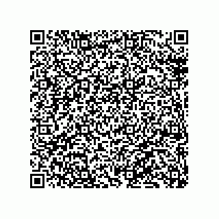 vCard 79130000421