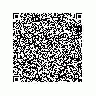 vCard 79130000433