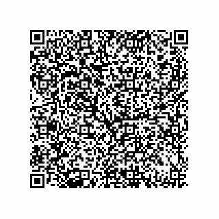 vCard 79130000803