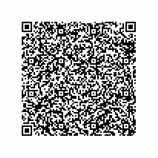 vCard 79130001295