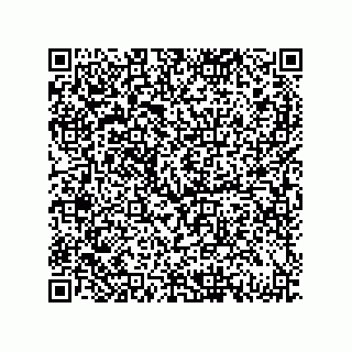 vCard 79130002028