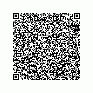 vCard 79130002033