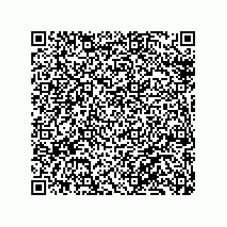 vCard 79130002041